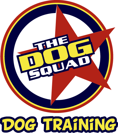 Dog Squad Dog Training