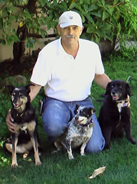 steve