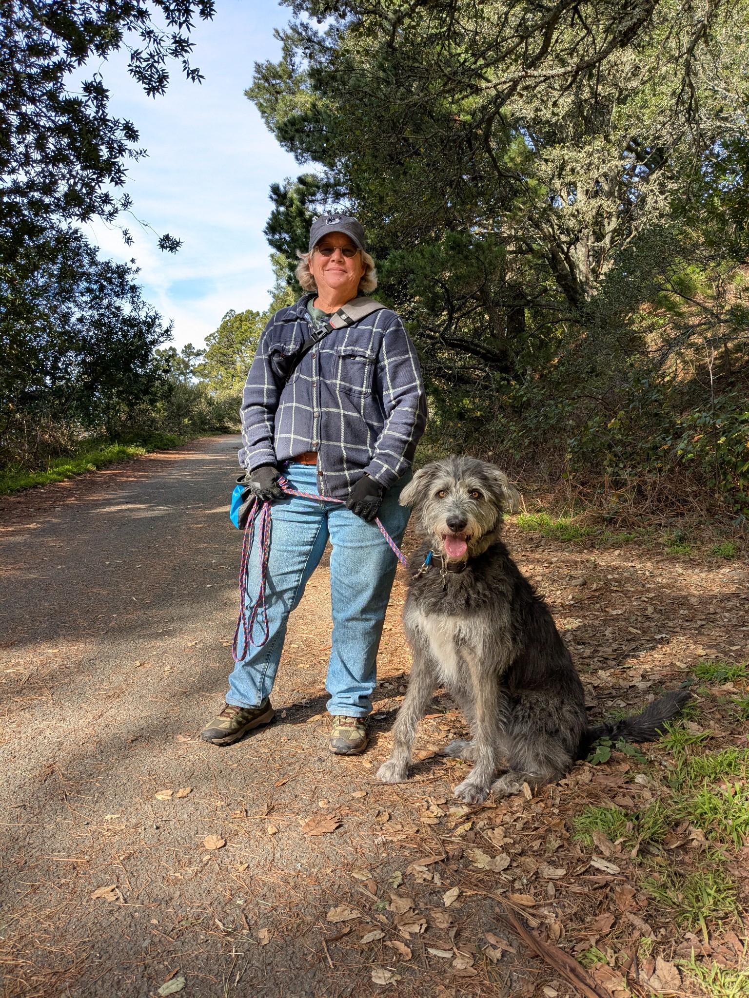 Les Sloane Les Sloane